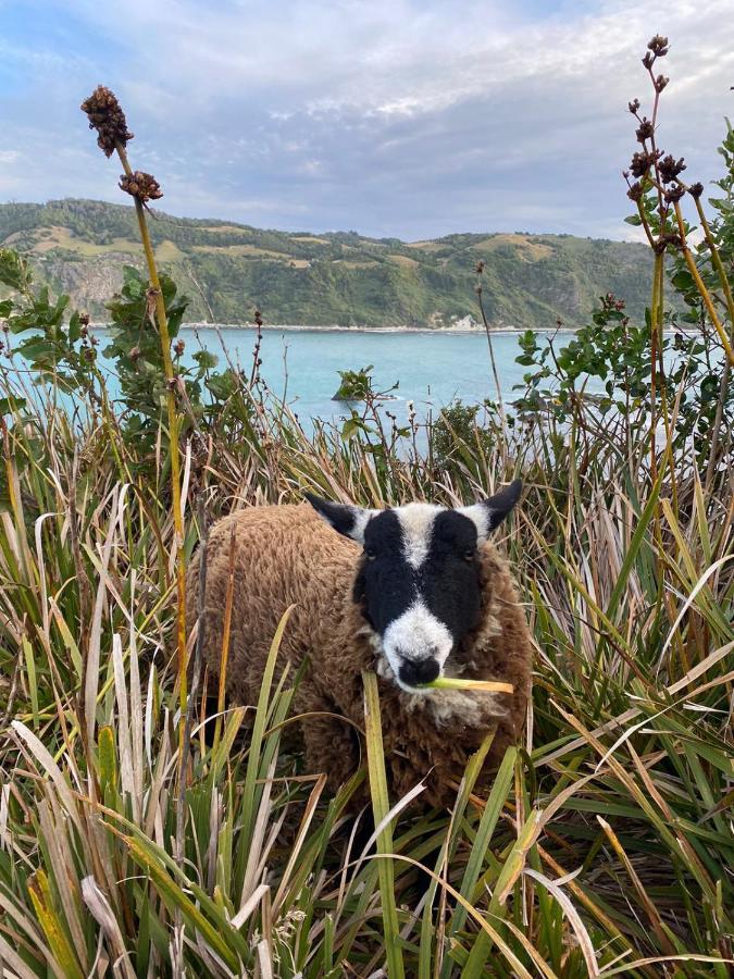 Vertientes De Pumillahue, Chiloe Villa Exteriör bild